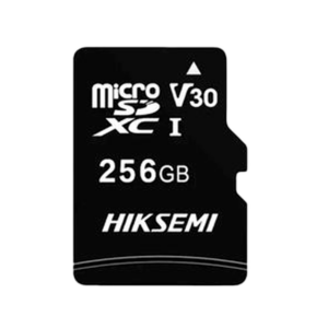 HS-TF-C1STD-256G-NA microSD-Karte – 256 GB